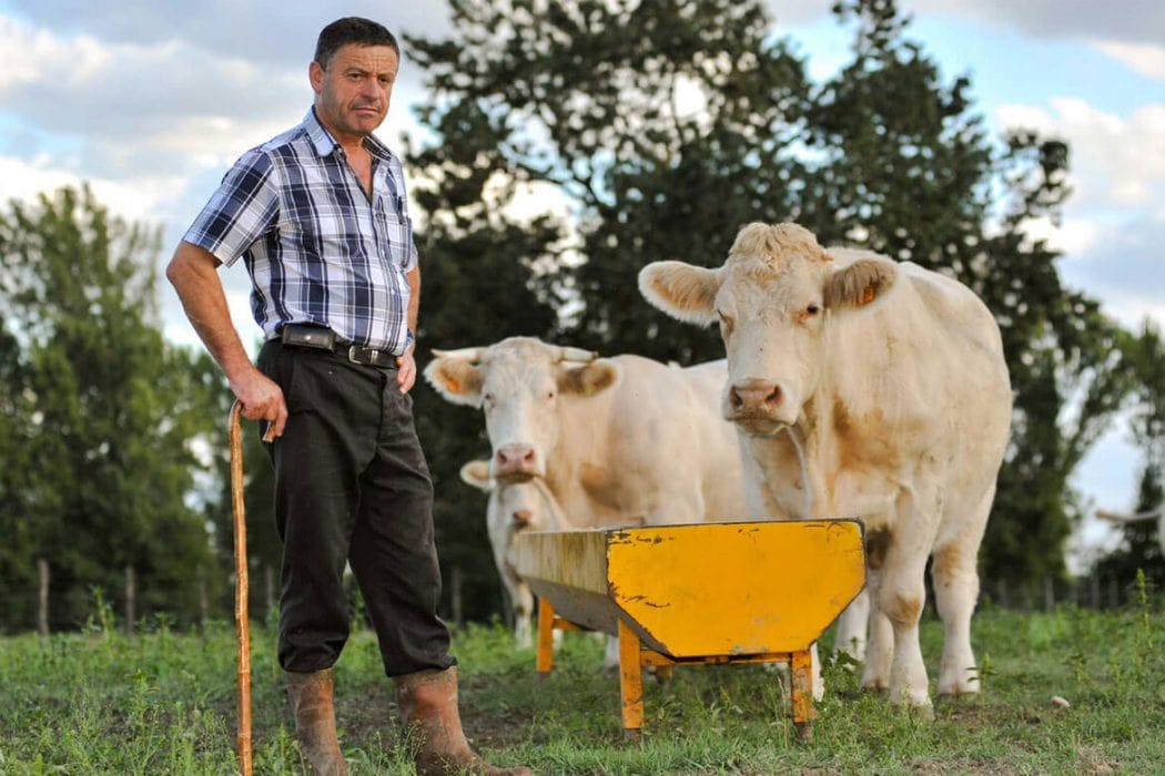 Home Delivery in Our Store